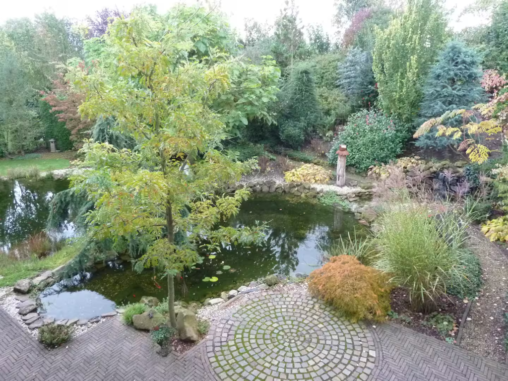 Teich